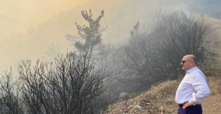 Balçova’daki orman yangını kısmen kontrol altına alındı