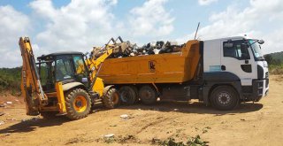 Hafta sonu Kandıra sahillerinden 250 ton atık toplandı
