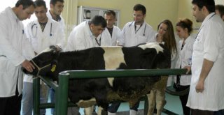 BUÜ Hayvan Hastanesi hizmet saatlerine virüs düzenlemesi