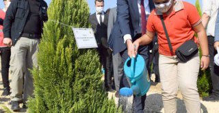 Başkan Seçer, Fidanı Toprakla Buluşturup Can Suyu Verdi