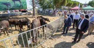 Soyer'in köylüye desteği sürüyor