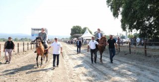 Atlı sporlar Büyükşehir'le şahlanıyor