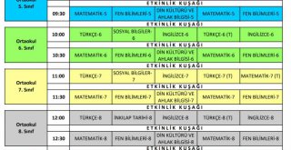 18 Soru-Cevap ile MEB-EBA Uzaktan Eğitim Ders Programı