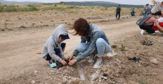 ESKİ MADEN SAHASI ORMANA DÖNÜŞÜYOR