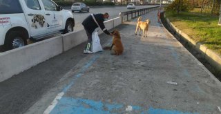 ​Can dostlar unutulmadı