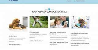 BÜYÜKŞEHİR BELEDİYESİNDEN HAYVAN DOSTU YENİ UYGULAMA: E-PATİ