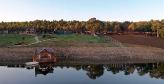 Doğa turizminin yeni rotası; Dağyenice