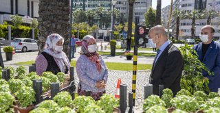 Bayındır’dan Başkan Soyer’e anlamlı ziyaret