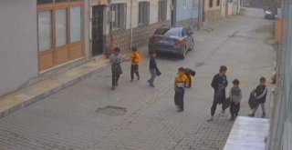 Küçüklerden büyüklere çevre dersi