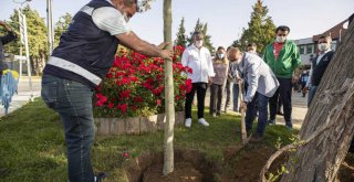 Balık hali esnafından Biz Varız dayanışmasına destek