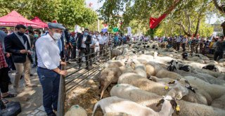 'Rehberim İzmir halkıdır'