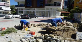 ASAT'TAN ALANYA'DA PARKE BAKIM VE ONARIMI