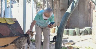 BÜYÜKŞEHİR'DEN YENİ BARINAK MÜJDESİ