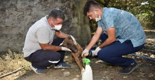 Zeydan Karalar yangından zarar gören hemşehrilerinin yanında