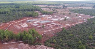 BÜYÜKŞEHİR, SOKAK HAYVANLARI BAKIM EVİ İNŞASINA BAŞLADI