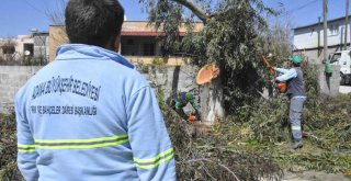 Büyükşehir halkın yanı başında