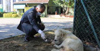 Can dostlarına Büyükşehir şefkati