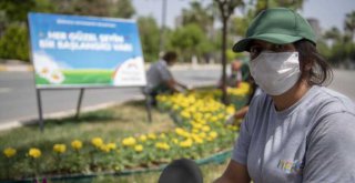 Mersin, Büyükşehir'le Çiçek Açıyor