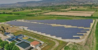 Denizli Büyükşehir Güneş tarlaları ile 4,1 milyon KWh'lik elektrik üretti