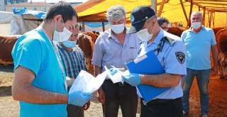 KURBAN SATIŞ VE KESİM YERLERİNDE TEDBİRLER ALINDI