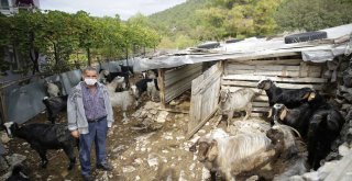 BÜYÜKŞEHİR'DEN GÜNDOĞMUŞ'TA ÜRETİME DESTEK