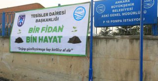 ASKİ 2 BİN FİDANI TOPRAKLA BULUŞTURUYOR