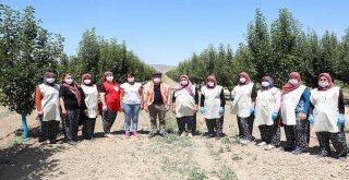 BAŞKAN BÖCEK'İN DESTEK VERDİĞİ KORKOOP KADINLARI HARİKALAR YARATIYOR