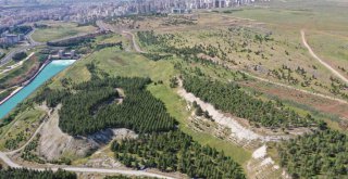 Şanlıurfa'ya Hayvanat Bahçesi Müjdesi