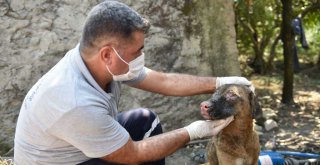 Zeydan Karalar yangından zarar gören hemşehrilerinin yanında