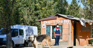 BÜYÜKŞEHİR'DEN PATİPARK'A LOJİSTİK DESTEK