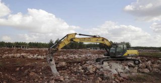 BÜYÜKŞEHİR, SOKAK HAYVANLARI BAKIM EVİ İNŞASINA BAŞLADI