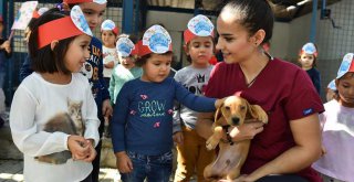 Büyükşehir’den bin 500 köpeğe rehabilitasyon merkezi