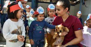 Büyükşehir’den bin 500 köpeğe rehabilitasyon merkezi