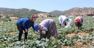 Büyükşehir'den Kiraz'daki kadınlara eğitim