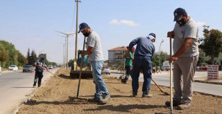 CUMHURİYET BULVARI’NDA ORTA REFÜJ YENİLENİYOR