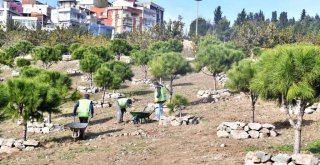 Kadifekale’yi bir de baharda görün