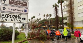 Büyükşehir'den fırtına ve yağmur seferberliği