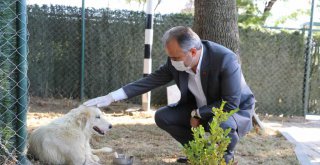 Can dostlarına Büyükşehir şefkati