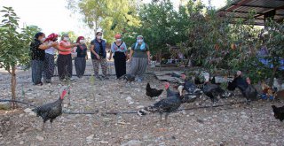 BÜYÜKŞEHİR'DEN DÜNYA KADIN ÇİFTÇİLER GÜNÜ KUTLAMASI