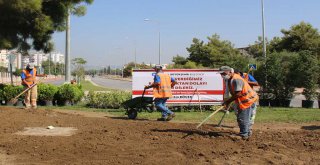 BÜYÜKŞEHİR'DEN KAVŞAKLARA ESTETİK DOKUNUŞ