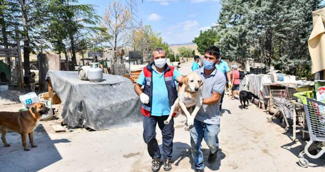 BAŞKAN YAVAŞ İNCİ ANNE'NİN ÇAĞRISINA KULAK VERDİ