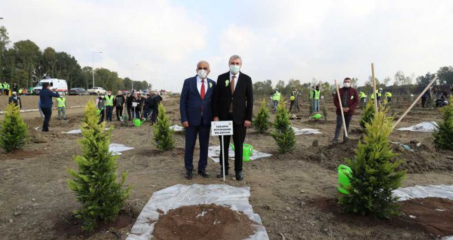 Sakarya'da fidanlar toprakla buluştu