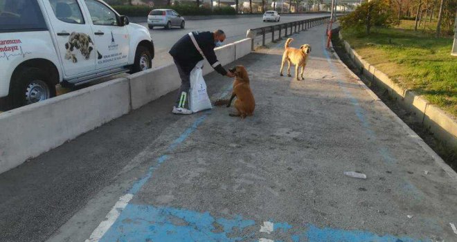 ​Can dostlar unutulmadı