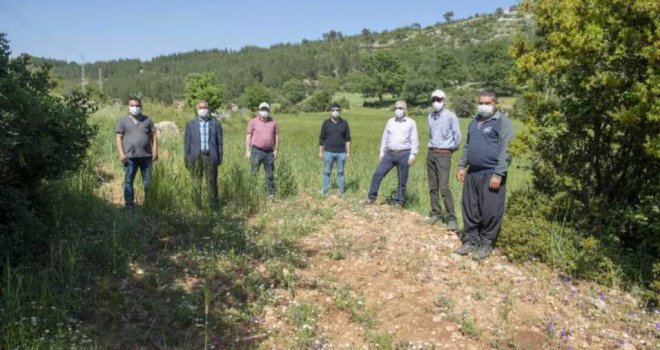 Mersin Büyükşehir'den Kaliteli ve Genetiği Değiştirilmemiş Buğday Üretimine Destek