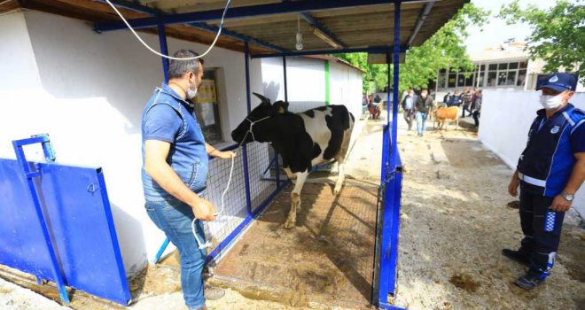 Bayır Hayvan Pazarı Tedbirlerle Açıldı