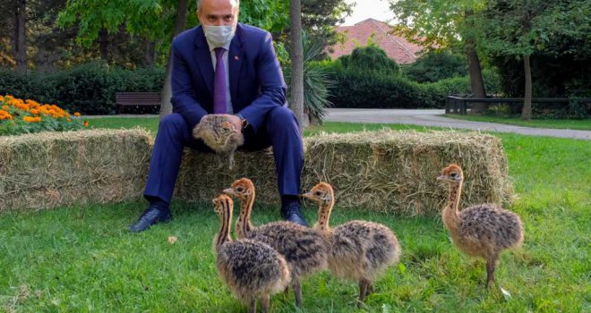 Hayvanat Bahçesi yeni üyelerle büyüyor