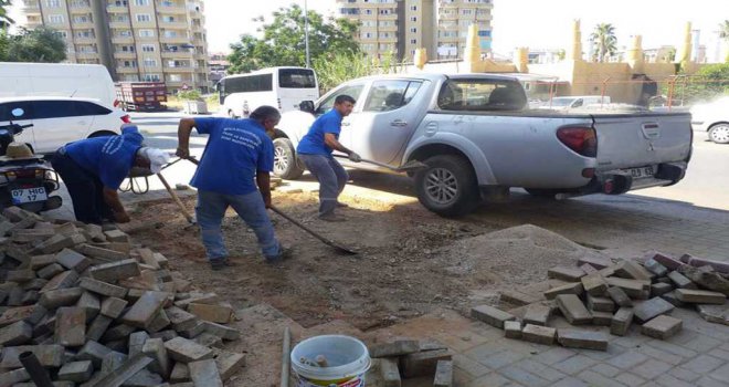 ASAT'TAN ALANYA'DA PARKE BAKIM VE ONARIMI