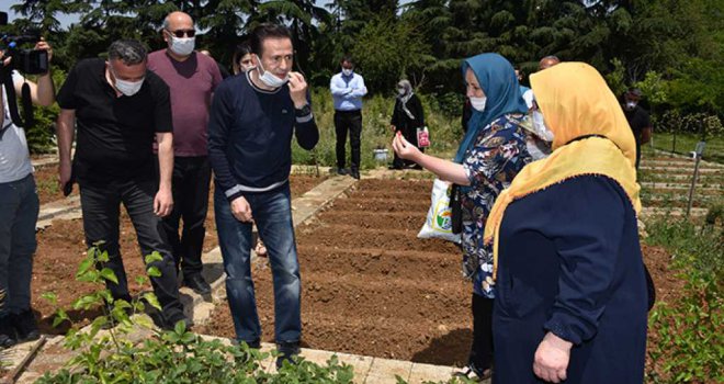 65 Yaş Üstü Tuzlalılardan, İhtiyaç Sahiplerine Organik Sebze Meyve Şöleni