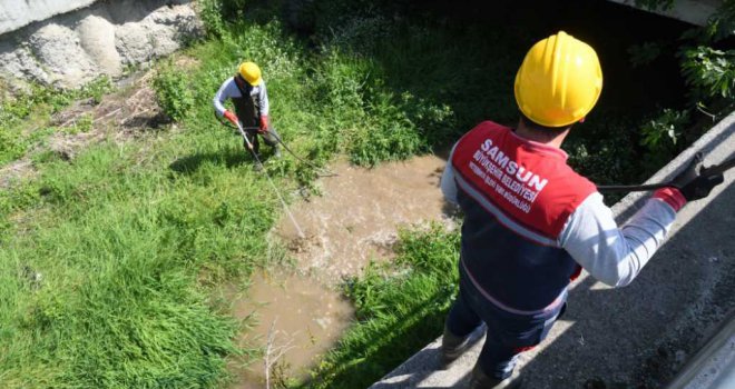 Samsun Büyükşehir Belediyesi'nden ‘Larva' temizliği