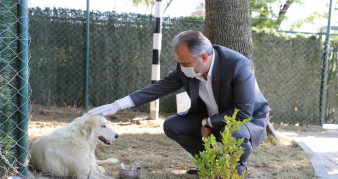 Can dostlarına Büyükşehir şefkati